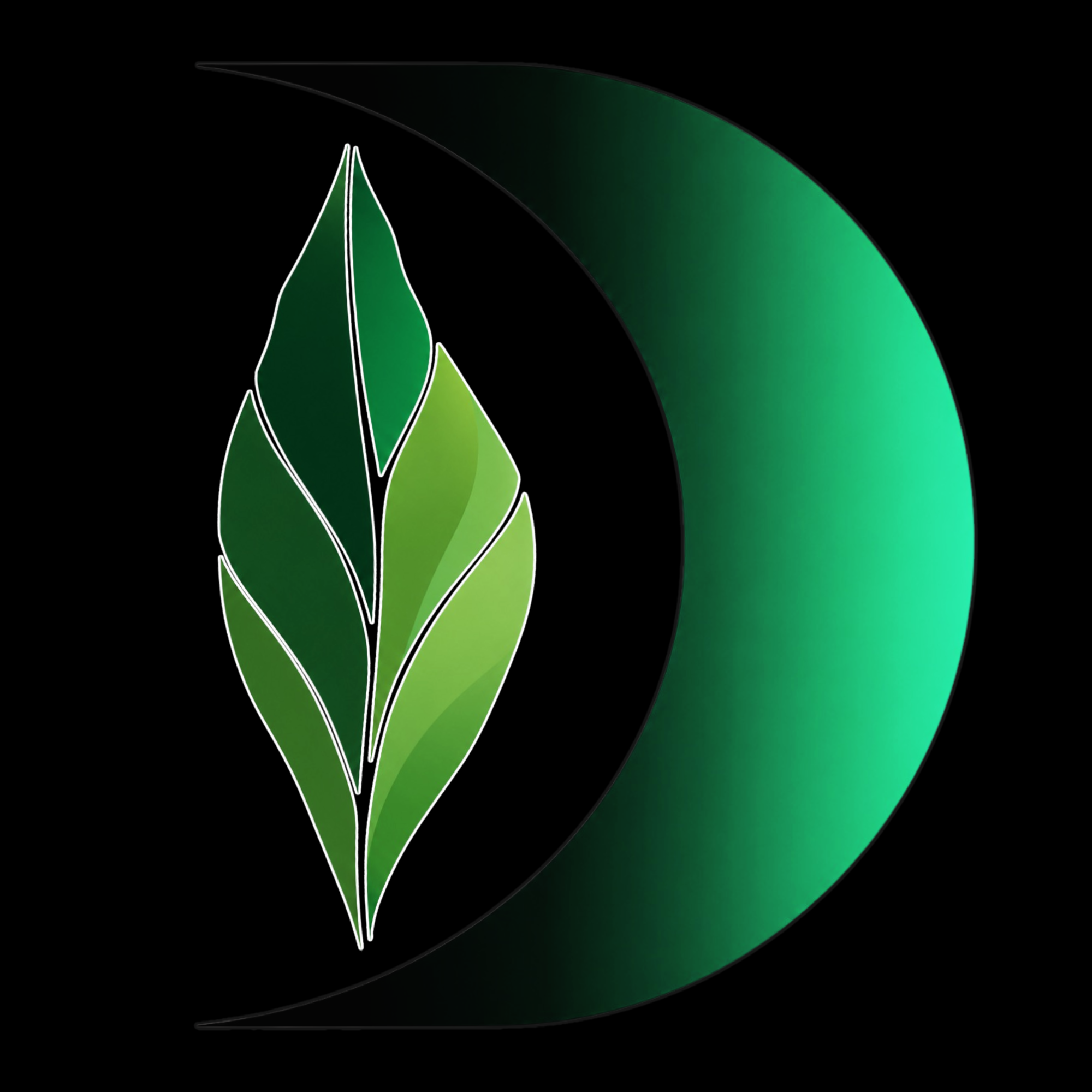 Detoxique Manchester